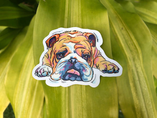 English Bulldog Sticker Decal